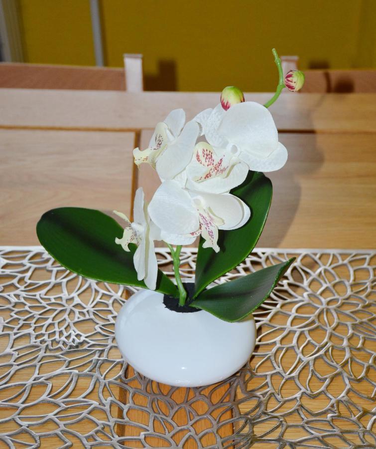 Apartman Zuzka Vel'ka Lomnica Extérieur photo